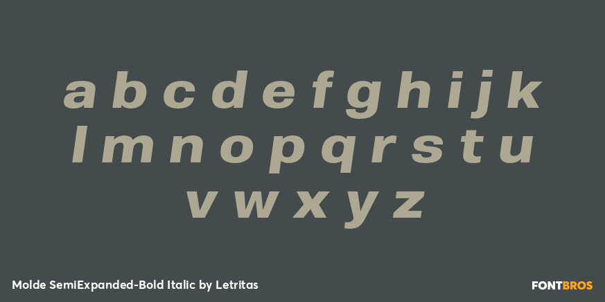 Molde SemiExpanded-Bold Italic Font Poster #3