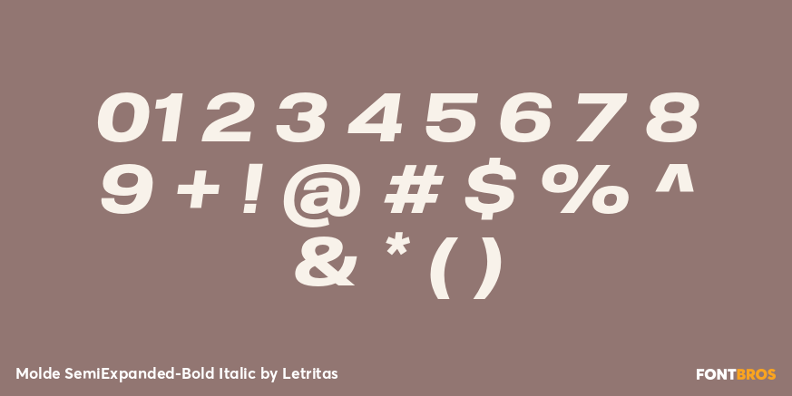 Molde SemiExpanded-Bold Italic Font Poster #4