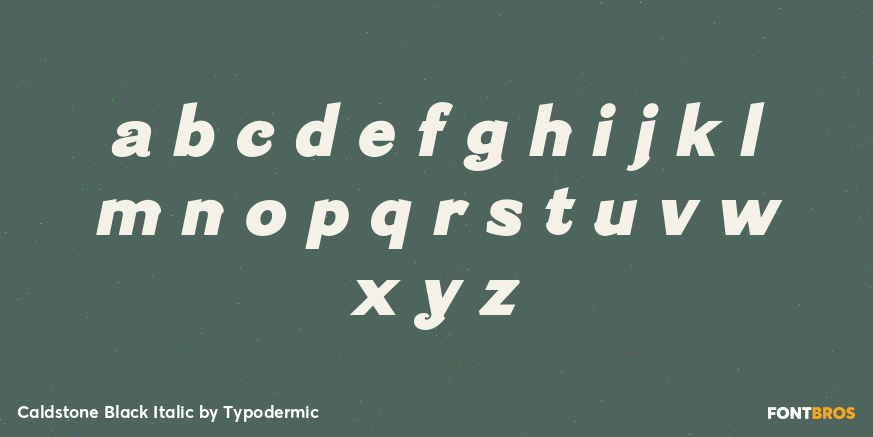 Caldstone Black Italic Font Poster #1