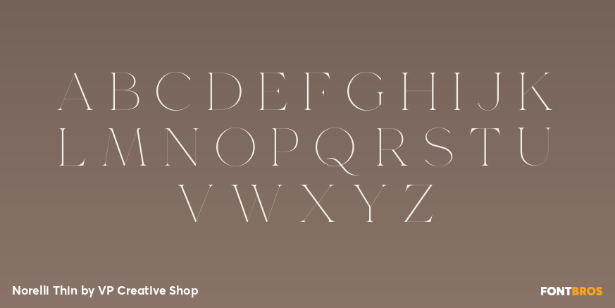 Norelli Thin Font Poster #2