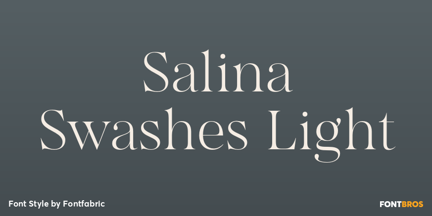 Salina Swashes Light Poster