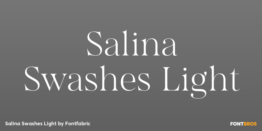 Salina Swashes Light Poster