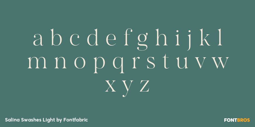 Salina Swashes Light Font Poster #3