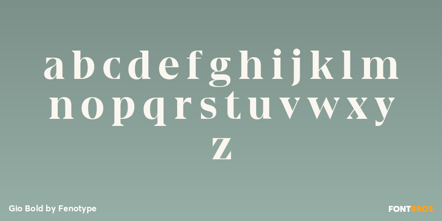 Gio Bold Font Poster #3