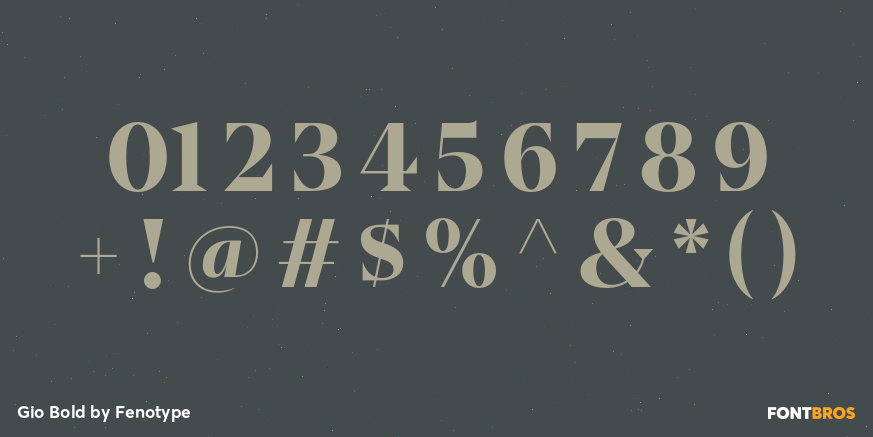 Gio Bold Font Poster #4