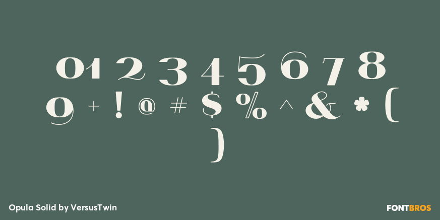 Opula Solid Font Poster #1