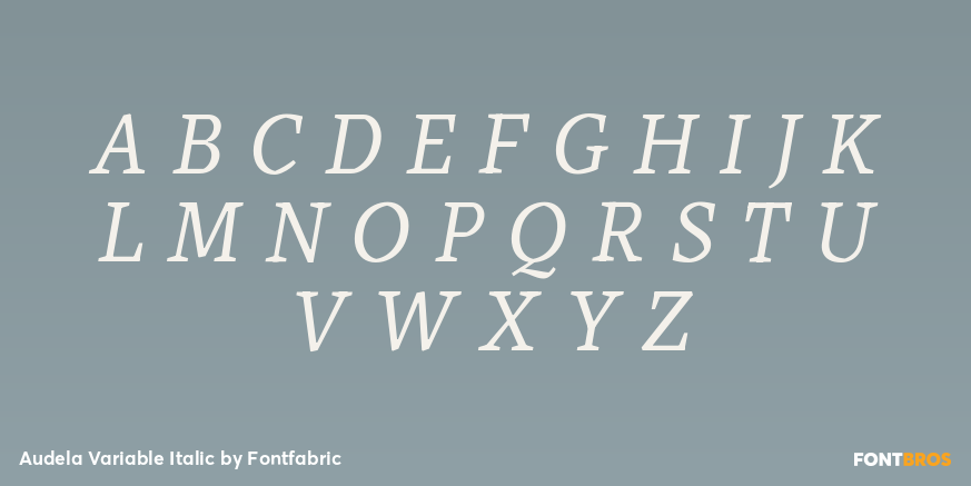 Audela Variable Italic Font Poster #2