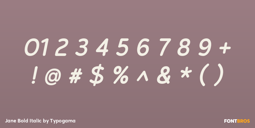 Jane Bold Italic Font Poster #4