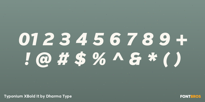 Typonium XBold It Font Poster #4