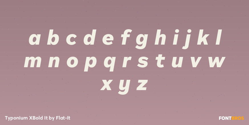 Typonium XBold It Font Poster #3
