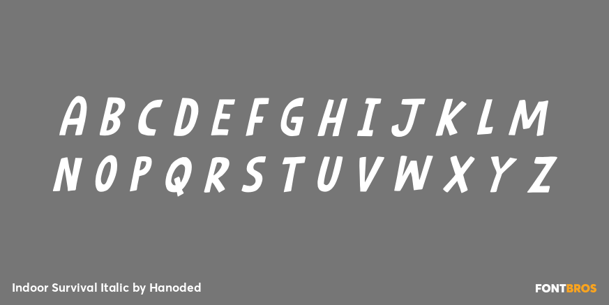 Indoor Survival Italic Font Poster #2