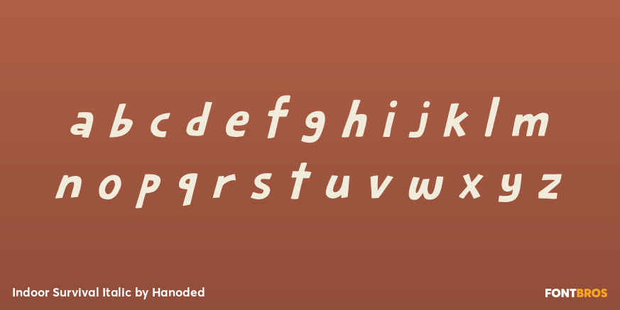 Indoor Survival Italic Font Poster #3