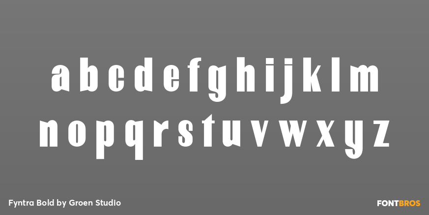 Fyntra Bold Font Poster #3
