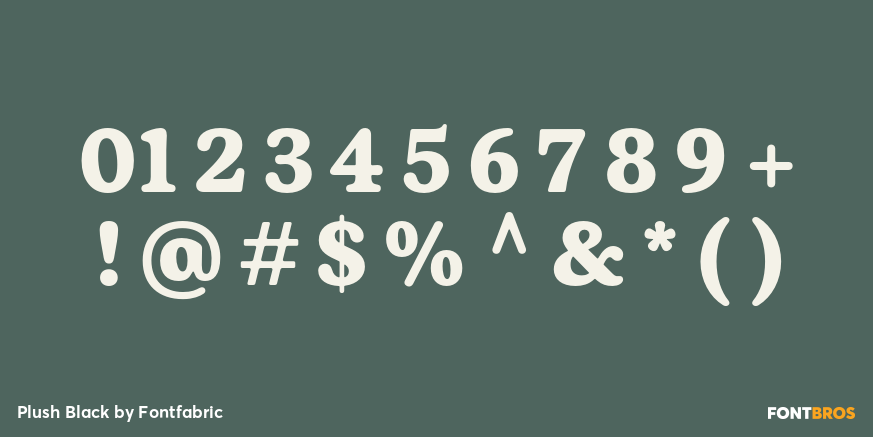 Plush Black Font Poster #4