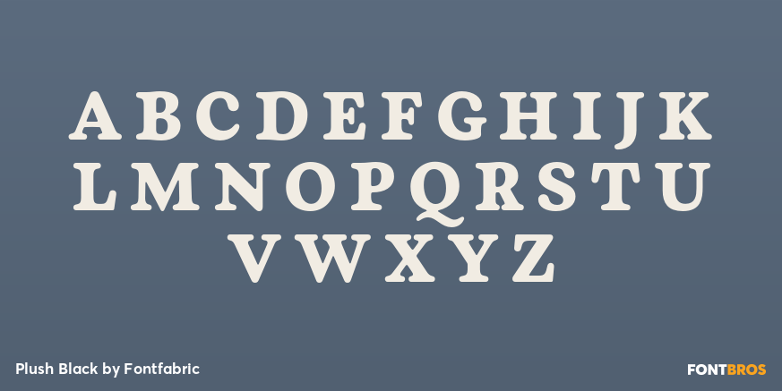 Plush Black Font Poster #1