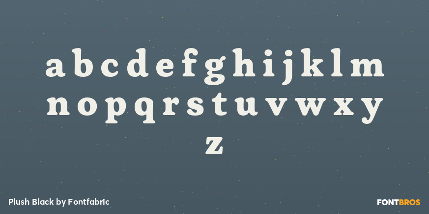 Plush Black Font Poster #1
