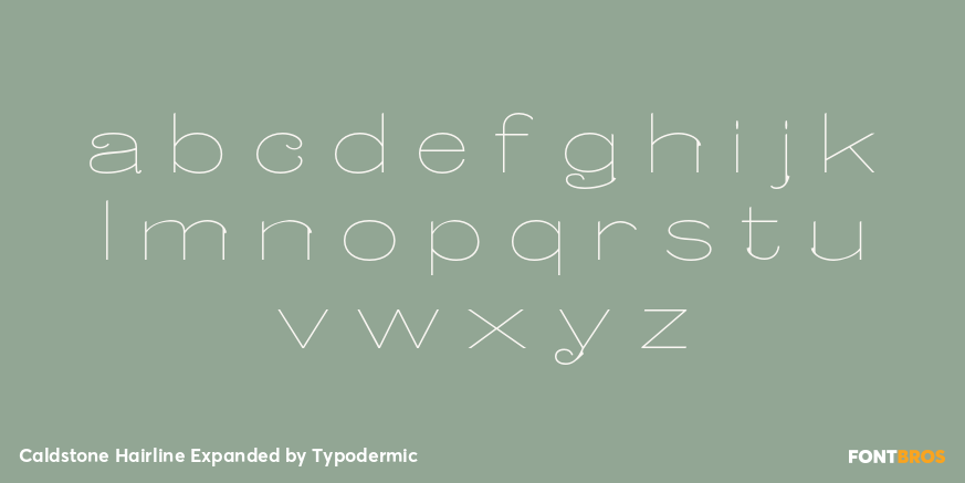 Caldstone Hairline Expanded Font Poster #3