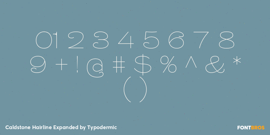 Caldstone Hairline Expanded Font Poster #4