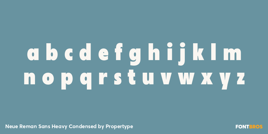 Neue Reman Sans Heavy Condensed Font Poster #3