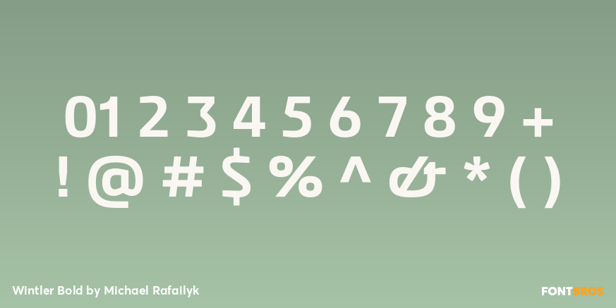 Wintler Bold Font Poster #4
