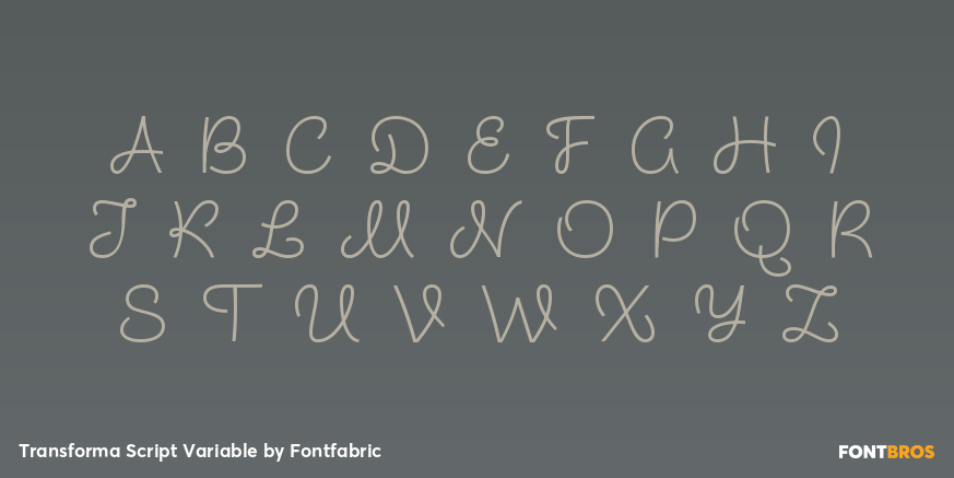 Transforma Script Variable Font Poster #2