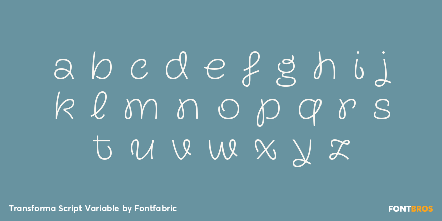 Transforma Script Variable Font Poster #3