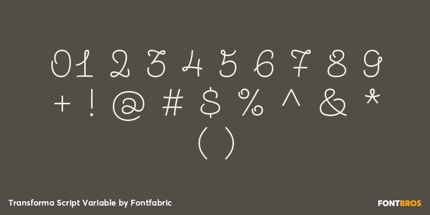 Transforma Script Variable Font Poster #4