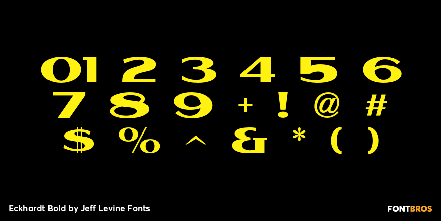 Eckhardt Bold Font Poster #4