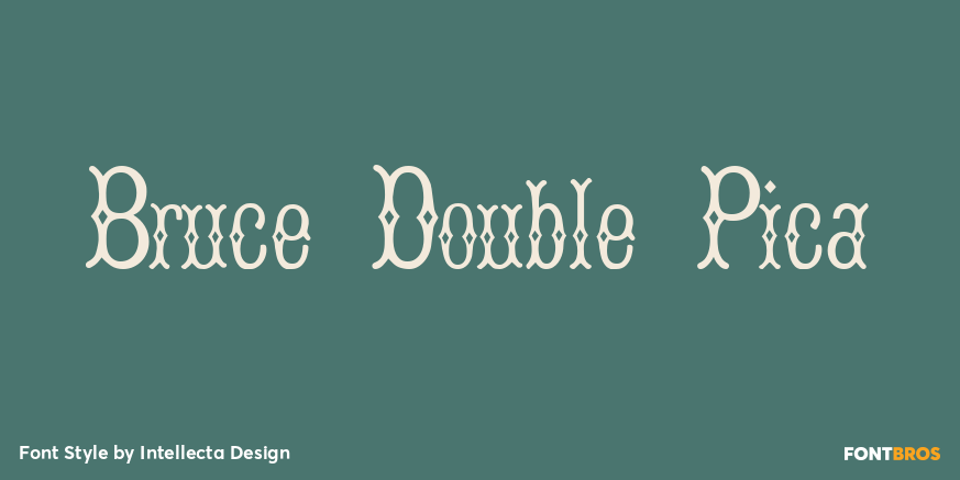 Bruce Double Pica Poster