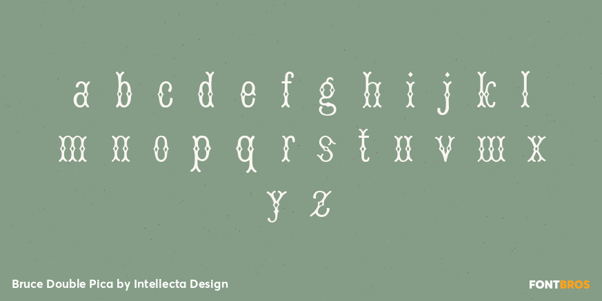 Bruce Double Pica Font Poster #3