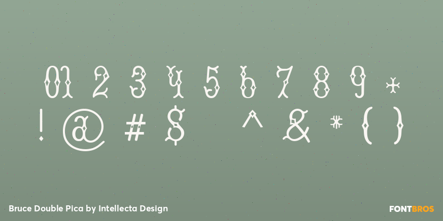 Bruce Double Pica Font Poster #4