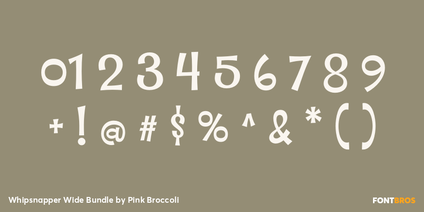 Whipsnapper Wide Bundle Font Poster #4