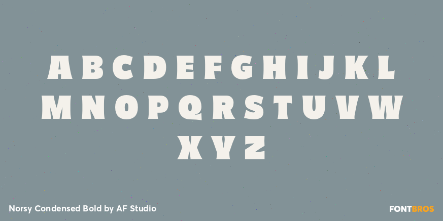 Norsy Condensed Bold Font Poster #2