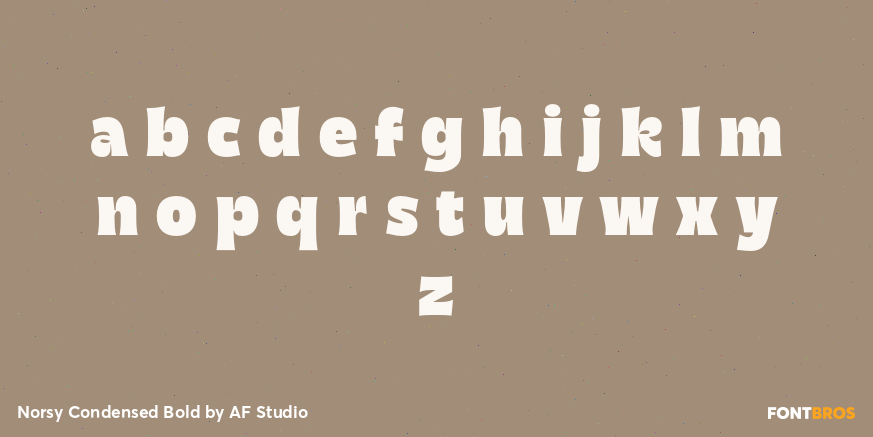 Norsy Condensed Bold Font Poster #3