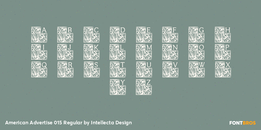 American Advertise 015 Regular Font Poster #2