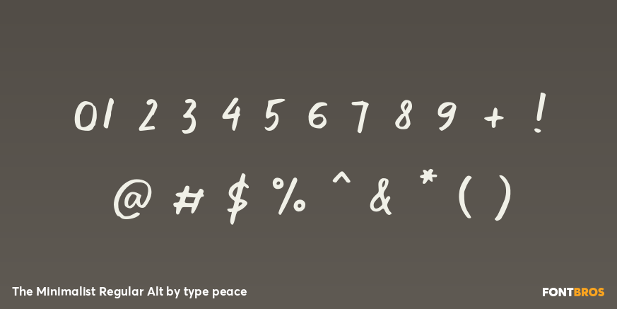 The Minimalist Regular Alt Font Poster #4