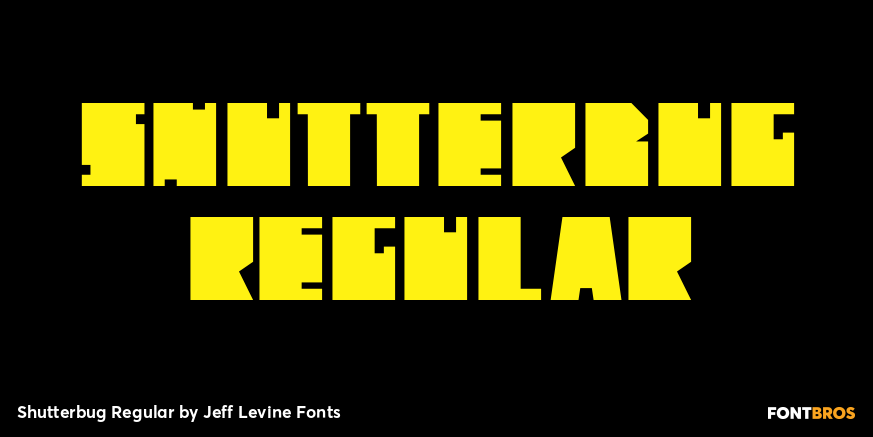 Shutterbug Regular Poster