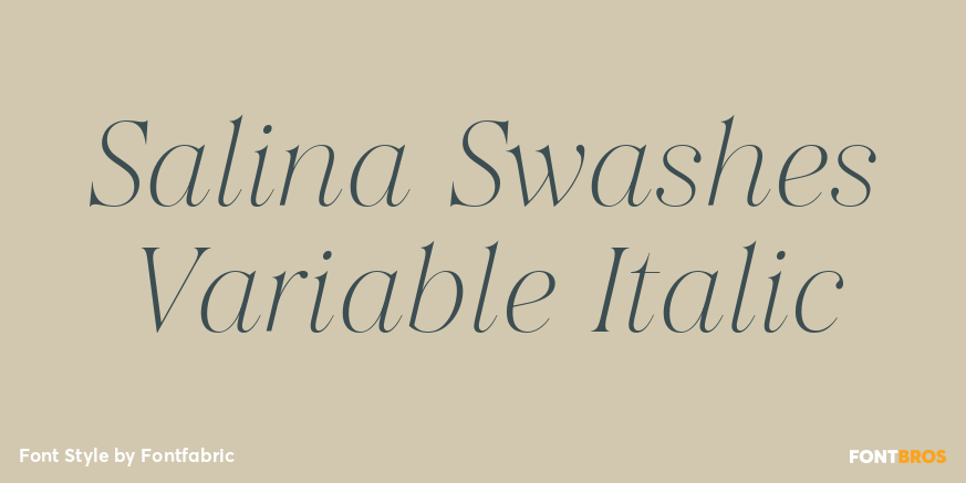 Salina Swashes Variable Italic Poster