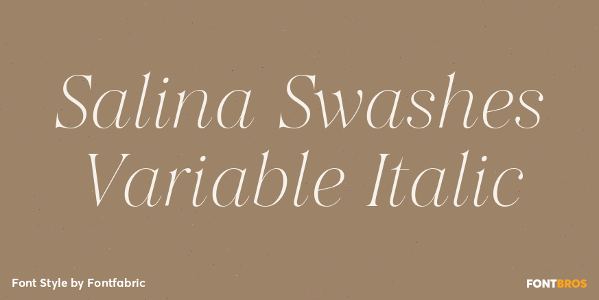 Salina Swashes Variable Italic Poster