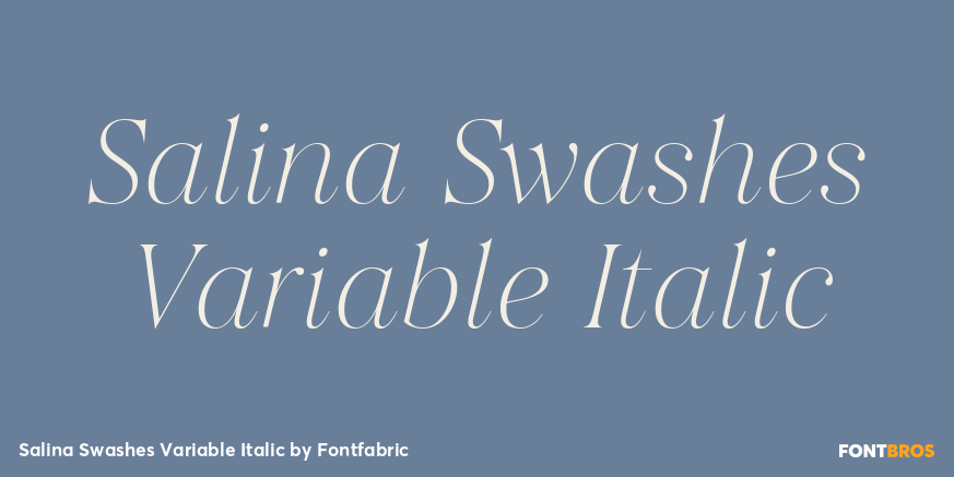Salina Swashes Variable Italic Poster