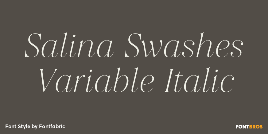 Salina Swashes Variable Italic Poster