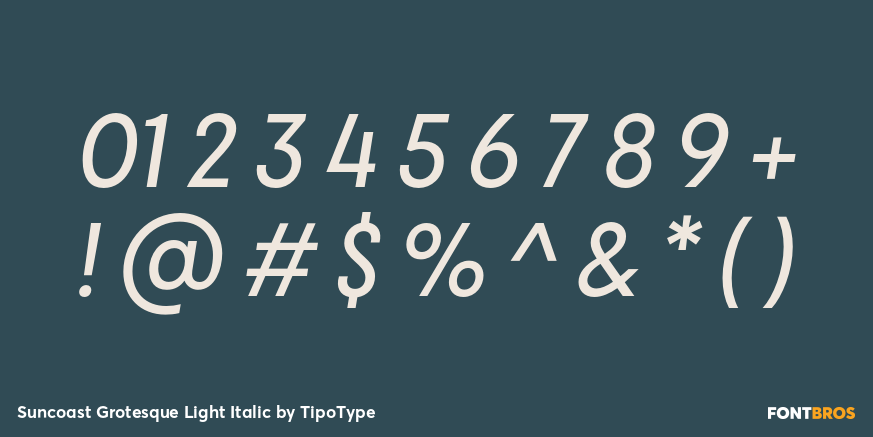 Suncoast Grotesque Light Italic Font Poster #4