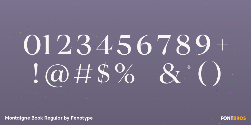 Montaigne Book Regular Font Poster #4