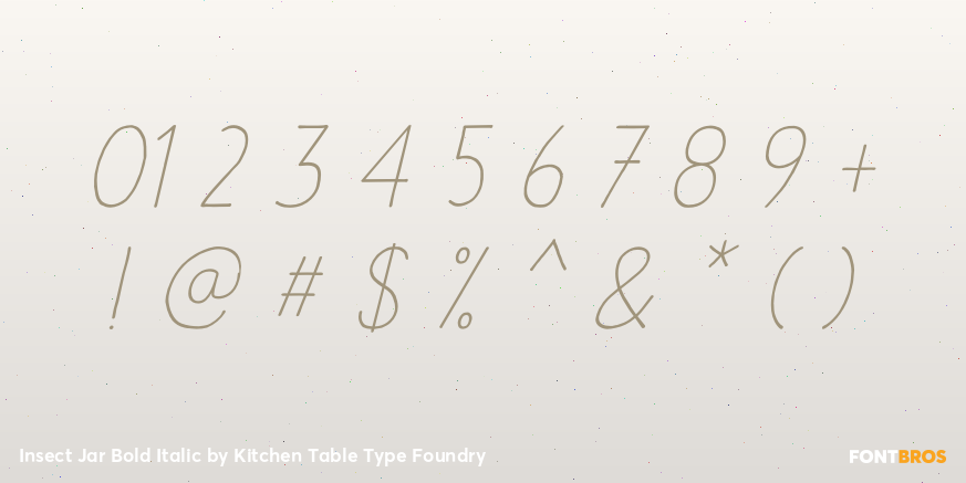 Insect Jar Bold Italic Font Poster #4