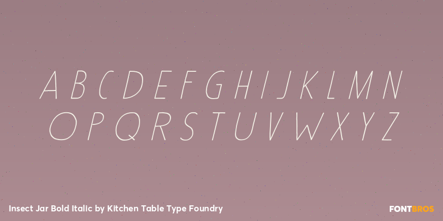 Insect Jar Bold Italic Font Poster #2