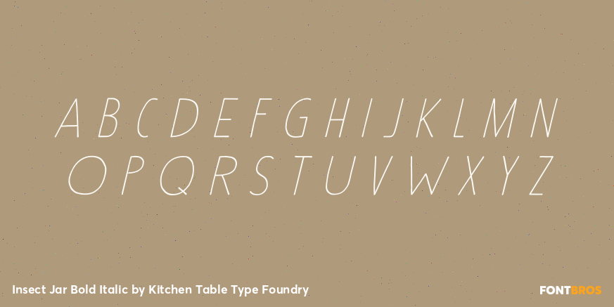 Insect Jar Bold Italic Font Poster #2