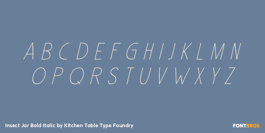 Insect Jar Bold Italic Font Poster #3