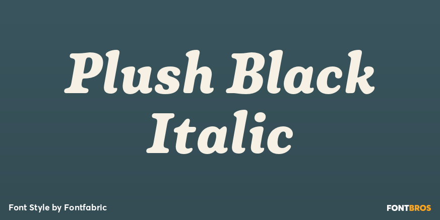 Plush Black Italic Font Poster #1
