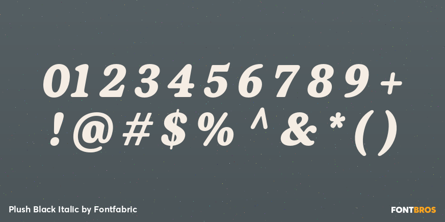 Plush Black Italic Font Poster #1