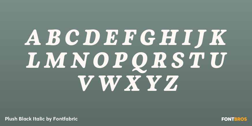 Plush Black Italic Font Poster #1
